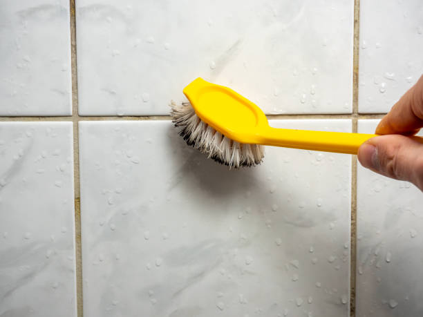 Best Same-Day Mold Removal  in Naples, FL