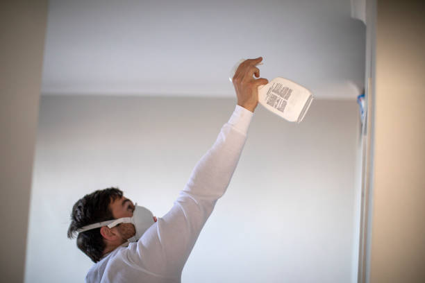 Best Emergency Mold Removal  in Naples, FL